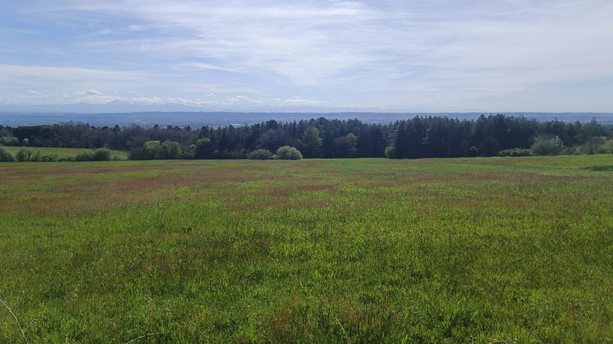 Expertise écologique botanique et habitats – Raccordement d’un projet éolien (11) 2